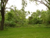 DSC08034.JPG